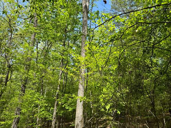 27 Acres of Recreational Land for Sale in Northport, Alabama
