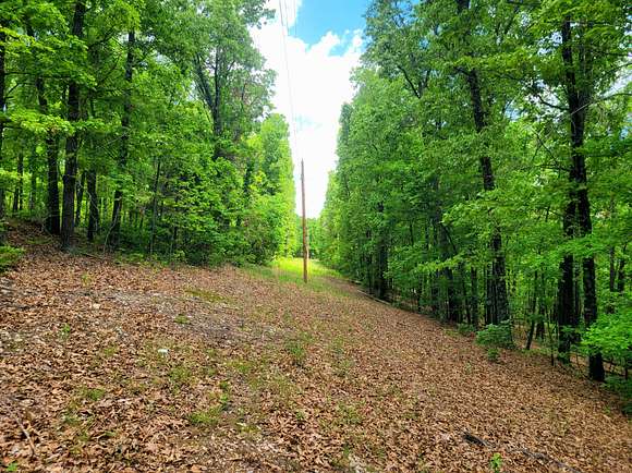 67 Acres of Recreational Land for Sale in Ava, Missouri