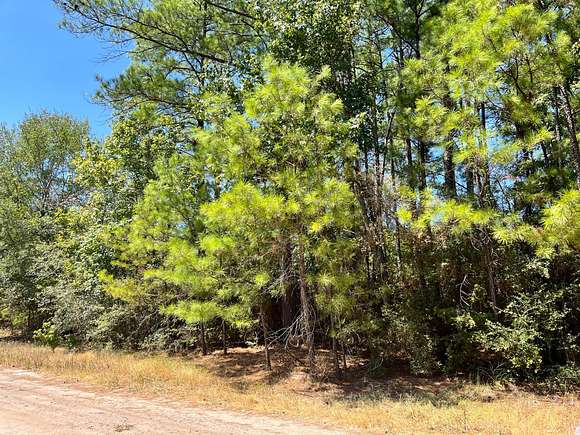 0.09 Acres of Residential Land for Sale in Trinity, Texas
