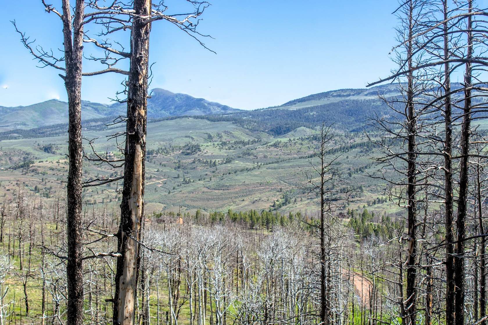 2.22 Acres of Residential Land for Sale in Fort Garland, Colorado