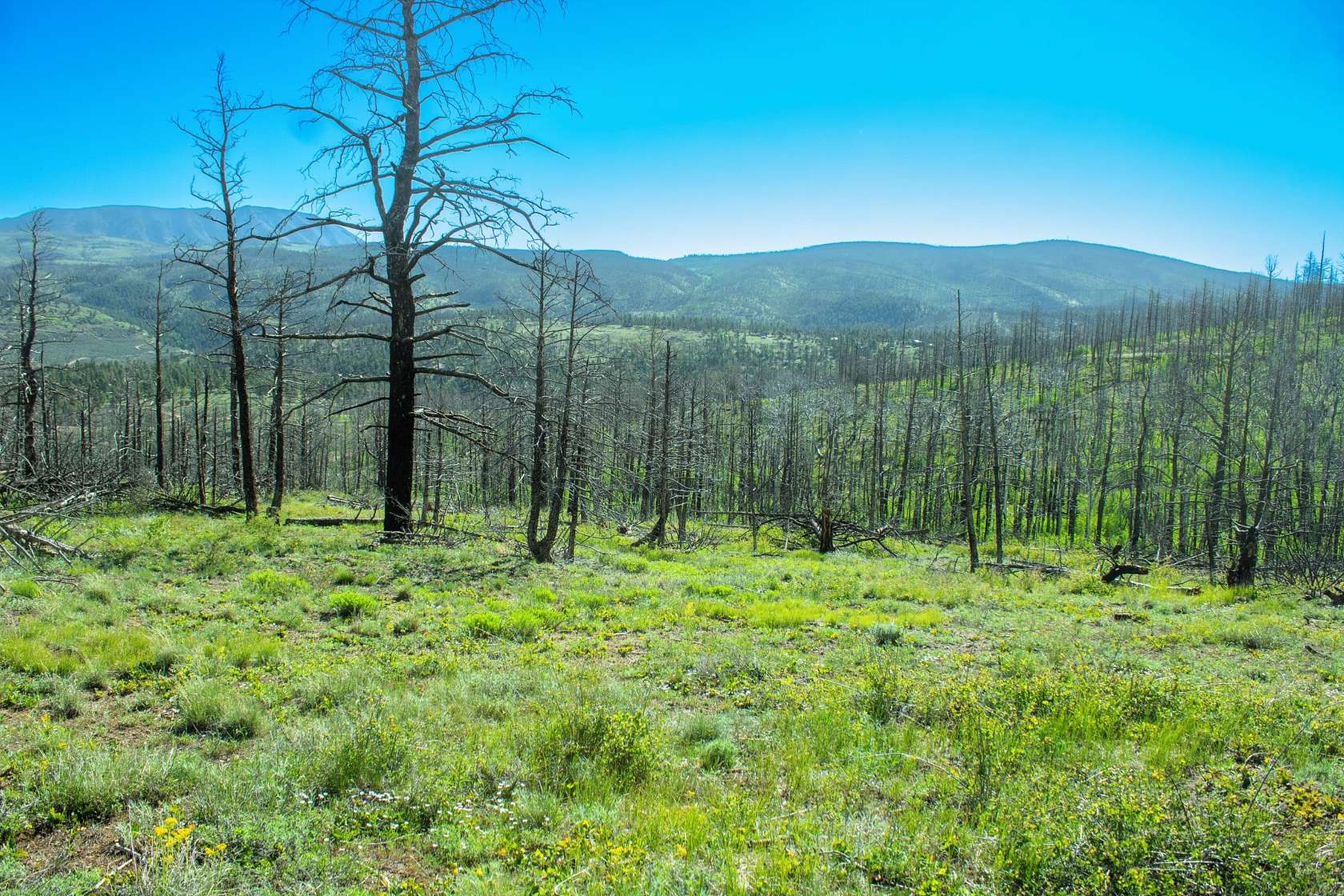 2.22 Acres of Residential Land for Sale in Fort Garland, Colorado