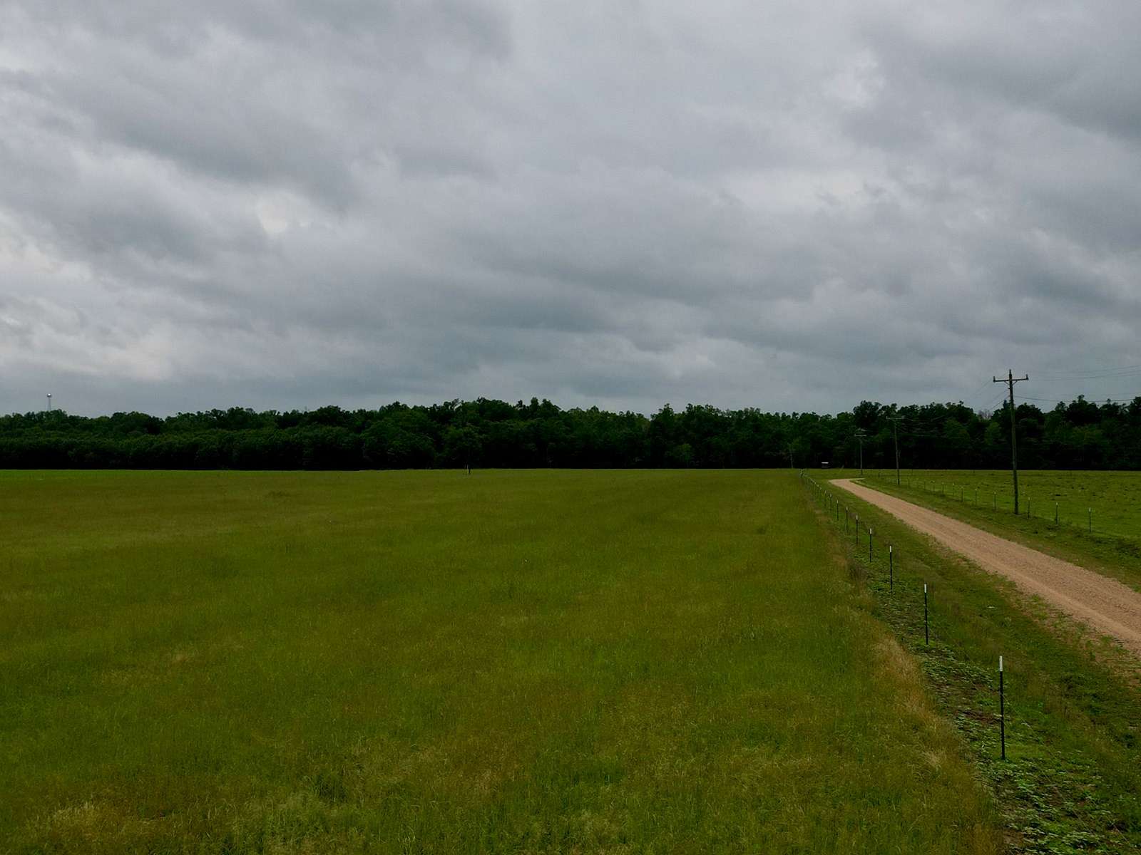 53 Acres of Recreational Land & Farm for Sale in Winnsboro, Louisiana