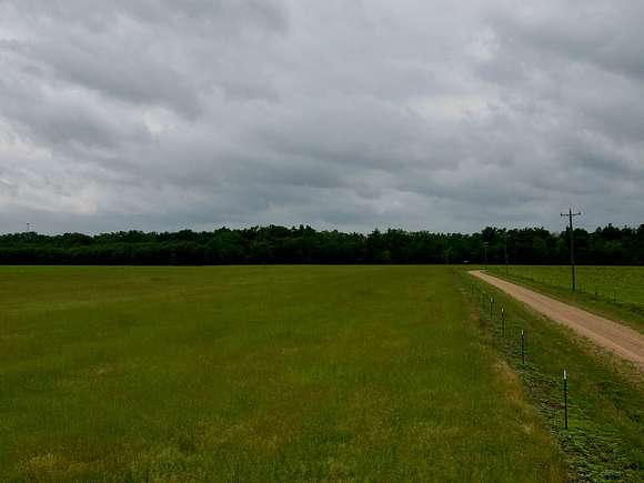 53 Acres of Recreational Land & Farm for Sale in Winnsboro, Louisiana