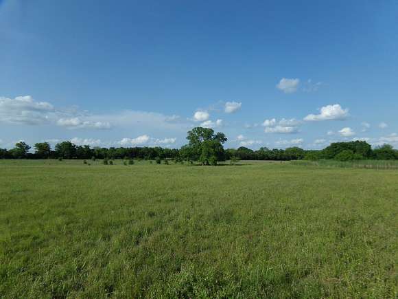 49.6 Acres of Land for Sale in Clarksville, Texas