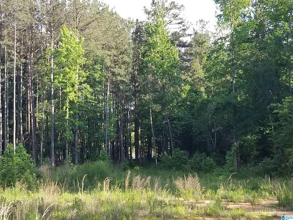 1.5 Acres of Residential Land for Sale in Riverside, Alabama