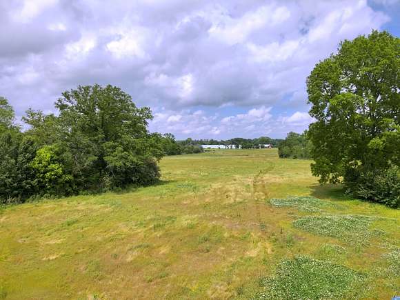 37 Acres of Land for Sale in Danville, Alabama