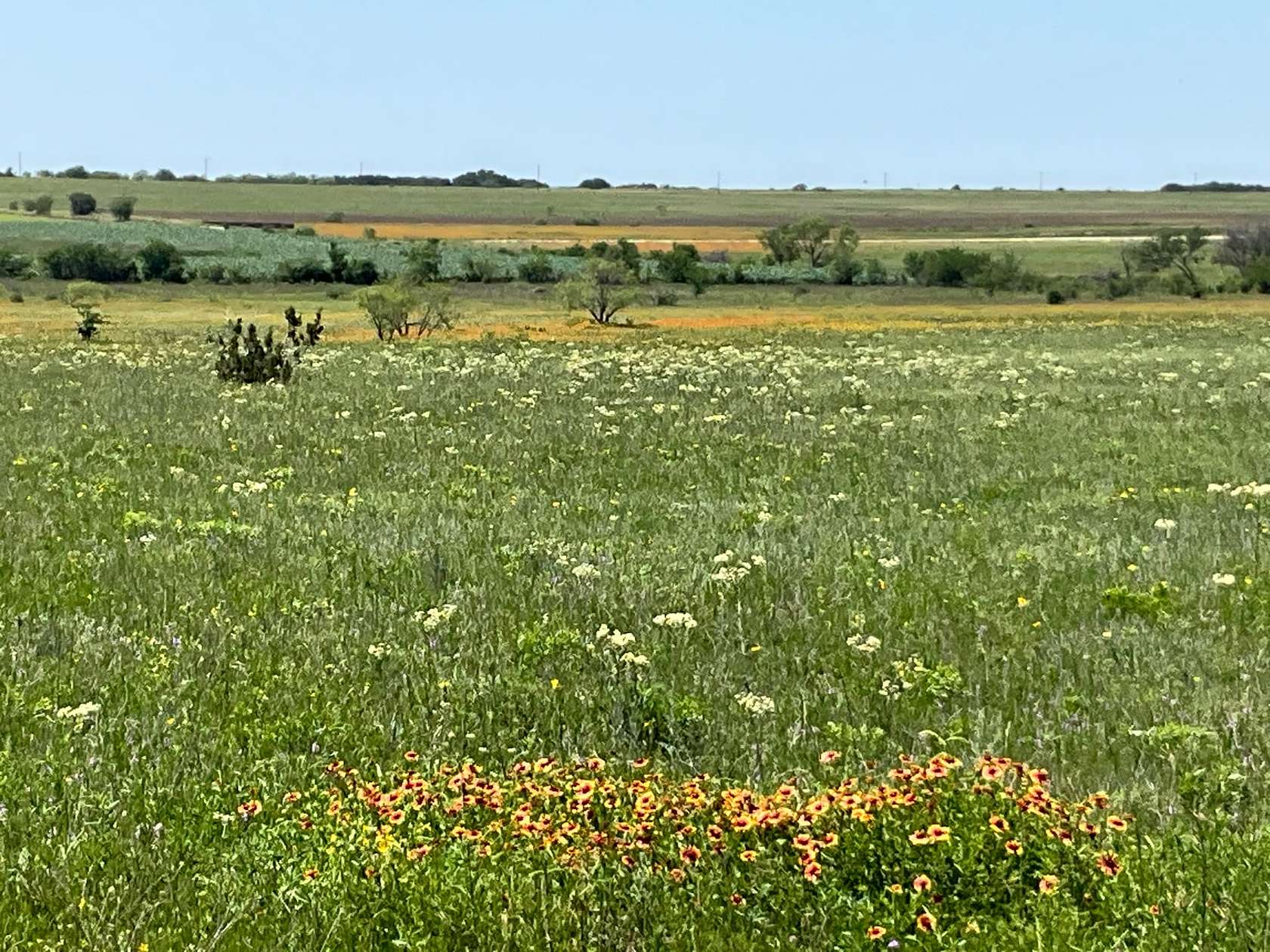 80 Acres of Agricultural Land for Sale in Hamilton, Texas