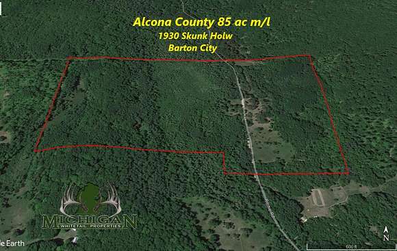 85 Acres of Recreational Land for Sale in Barton City, Michigan