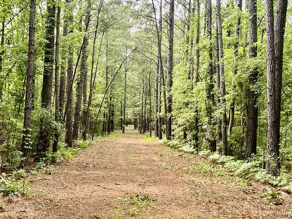 2.5 Acres of Residential Land for Sale in Yemassee, South Carolina