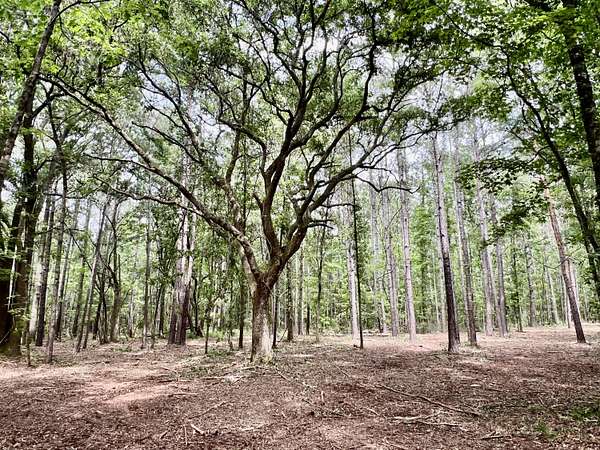 1.85 Acres of Residential Land for Sale in Yemassee, South Carolina