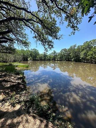 58 Acres of Agricultural Land for Sale in Bridgeport, Texas