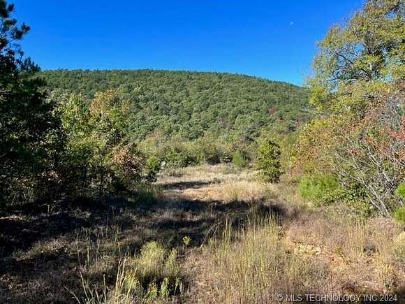 28.2 Acres of Recreational Land for Sale in Clayton, Oklahoma