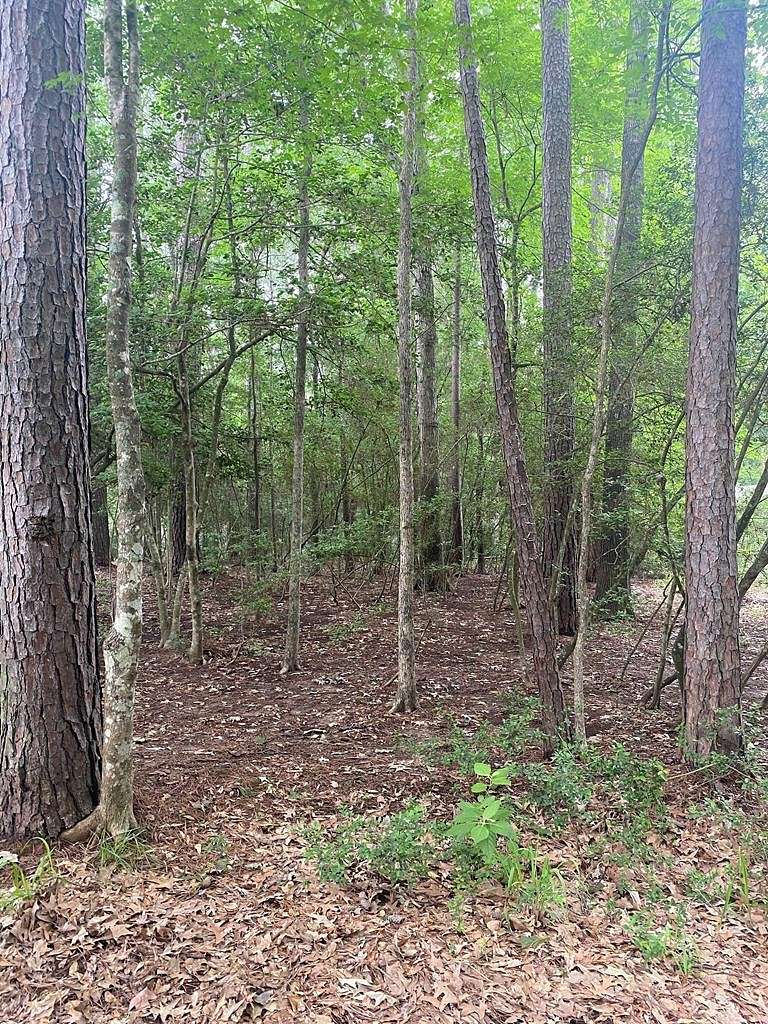 Land for Sale in Nacogdoches, Texas