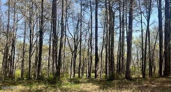 1.46 Acres of Residential Land for Sale in Macon, Georgia