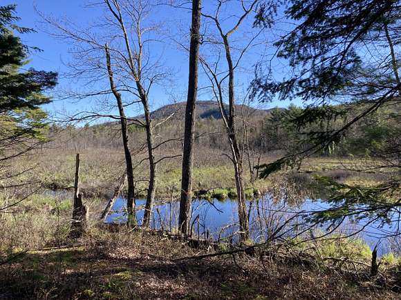 22.7 Acres of Recreational Land for Sale in Hartford, Maine