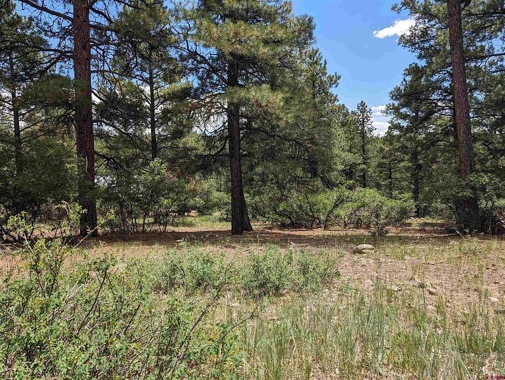 0.55 Acres of Residential Land for Sale in Pagosa Springs, Colorado