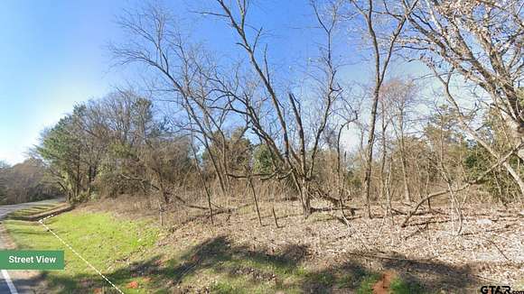 19.3 Acres of Land for Sale in Tyler, Texas