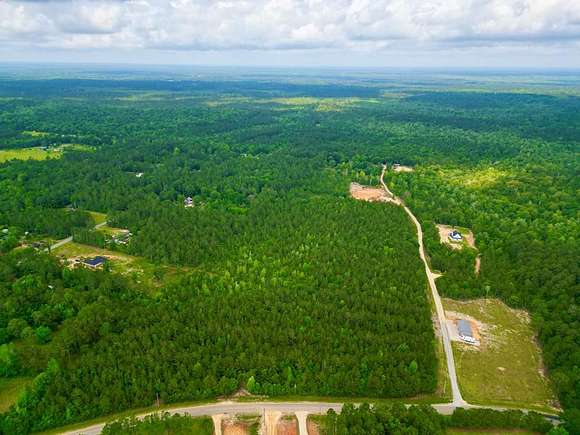 30 Acres of Recreational Land for Sale in Carriere, Mississippi