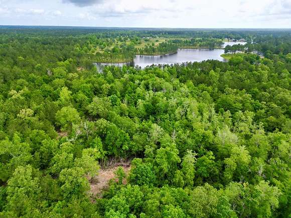 51 Acres of Recreational Land for Sale in Carriere, Mississippi