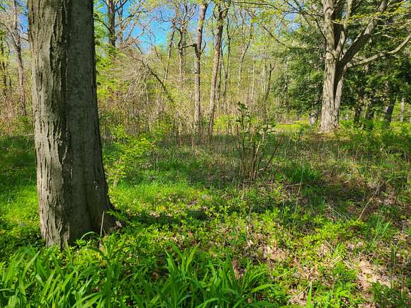0.48 Acres of Residential Land for Sale in Coloma, Michigan