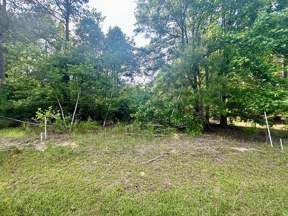 11.9 Acres of Land for Sale in Williston, South Carolina