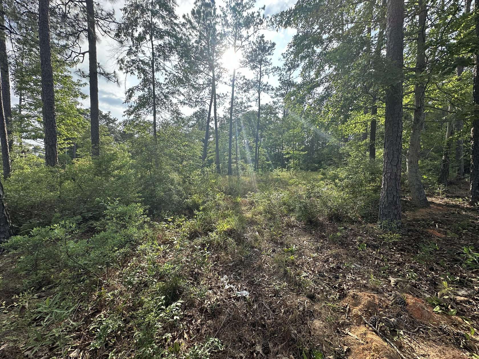 Residential Land for Sale in Hattiesburg, Mississippi