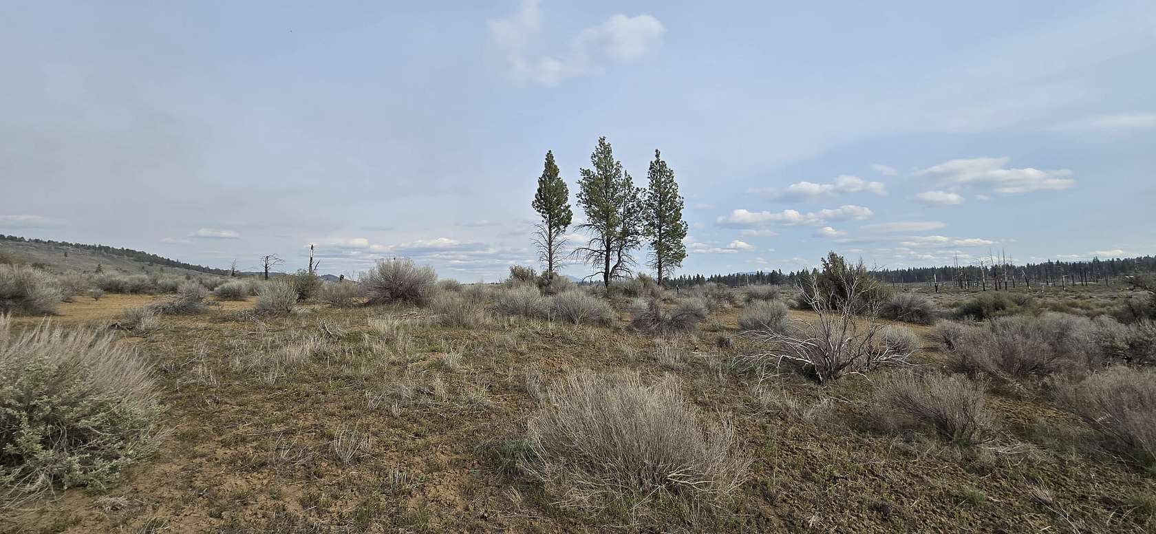 2.4 Acres of Residential Land for Sale in Chiloquin, Oregon