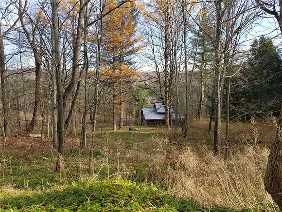 41.8 Acres of Land with Home for Sale in Butternuts Town, New York