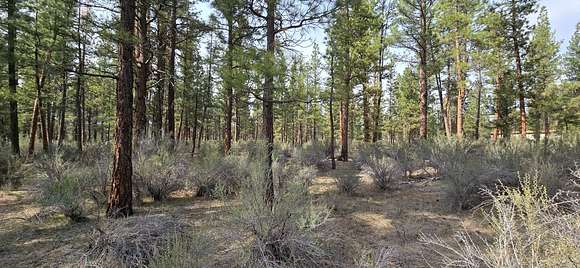 2.5 Acres of Residential Land for Sale in Chiloquin, Oregon