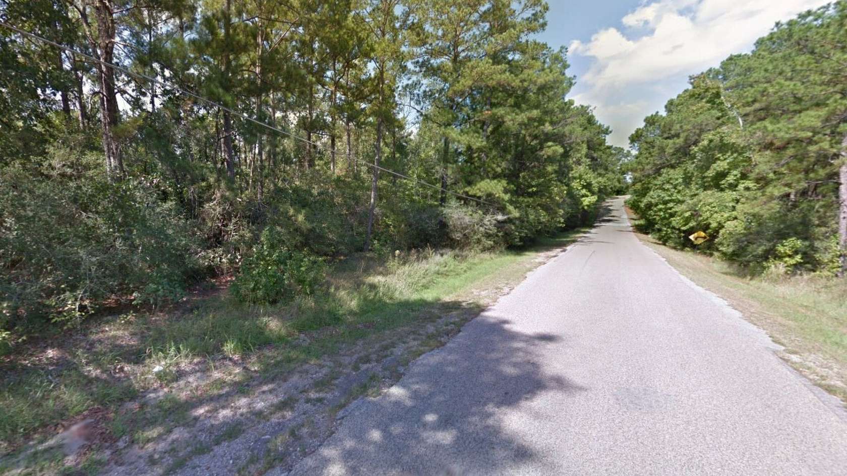 0.33 Acres of Residential Land for Sale in Trinity, Texas