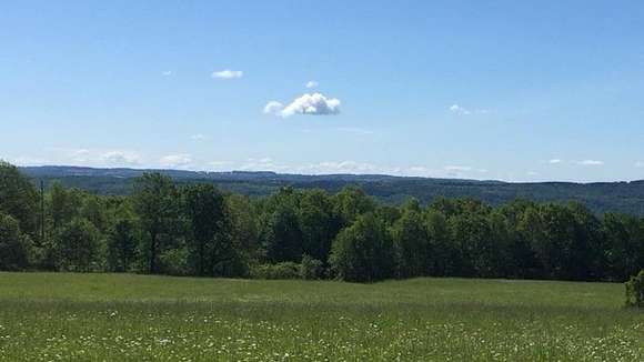 20 Acres of Agricultural Land for Sale in Canandaigua Town, New York