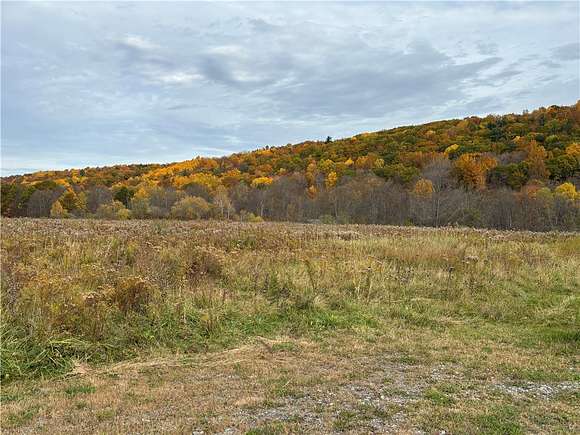 4.4 Acres of Residential Land for Sale in Conesus, New York