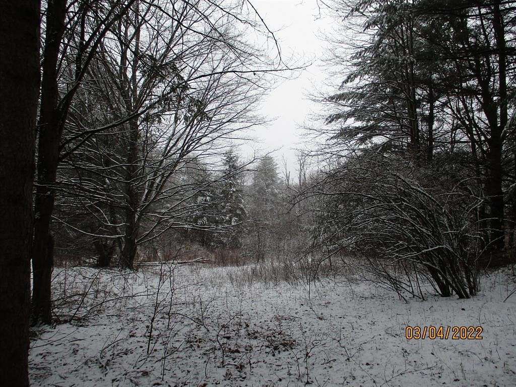 48 Acres of Recreational Land for Sale in Unadilla, New York