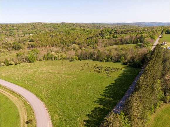 133.02 Acres of Land for Sale in Pittsfield, New York