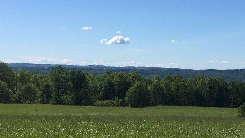 35 Acres of Agricultural Land for Sale in Canandaigua Town, New York