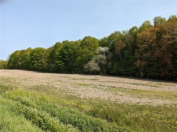 2.5 Acres of Residential Land for Sale in Moravia, New York